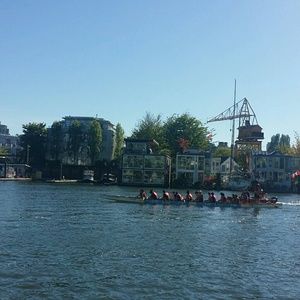 Meet your Posher, Amy